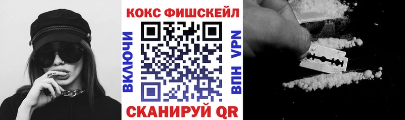 где можно купить   Дюртюли  Cocaine Fish Scale 