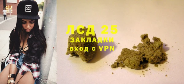 ECSTASY Вяземский