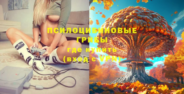 шишки Вязники