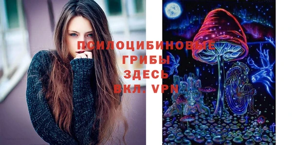 ECSTASY Вяземский