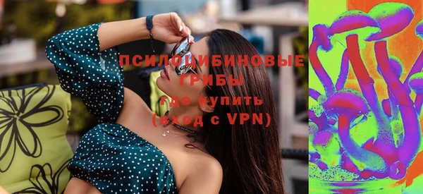 шишки Вязники